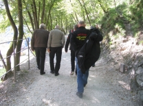 img 8998