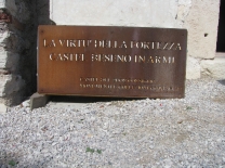 img 9069
